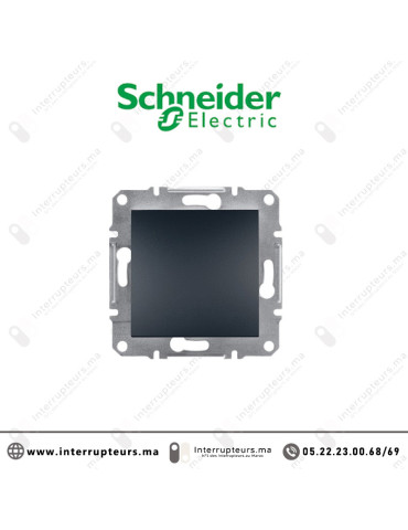 Obturateur Schneider Asfora anthracite EPH5600171 Casablanca Maroc