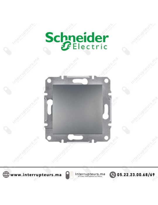 Obturateur Schneider Asfora Acier EPH5600162 Casablanca Maroc