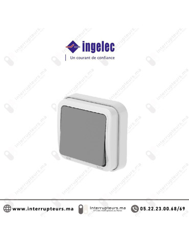 Va & vient étanche gris encastré INGELEC TROPIC 55 5861/20 Casablanca Maroc