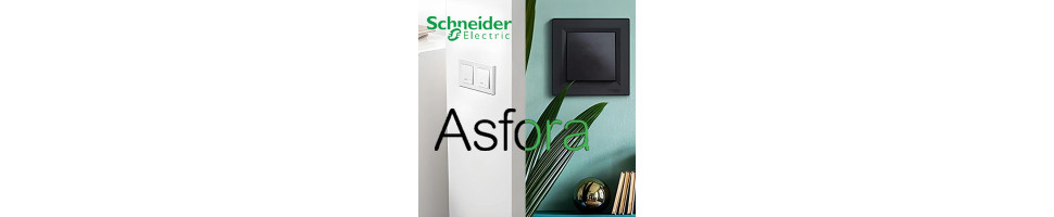 Fournisseur et distributeur Schneider Asfora | Interrupteurs Maroc